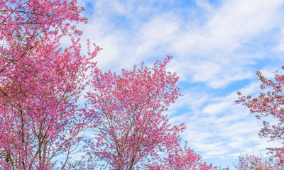 Διάβασε την προσωπική σου πρόβλεψη, για σήμερα 09/03/2026