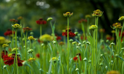 Διάβασε την προσωπική σου πρόβλεψη, για σήμερα 27/03/2026