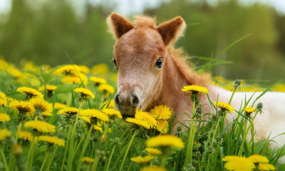 Διάβασε την προσωπική σου πρόβλεψη, για σήμερα 26/03/2026