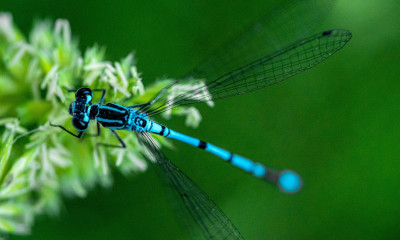 Διάβασε την προσωπική σου πρόβλεψη, για σήμερα 20/03/2026