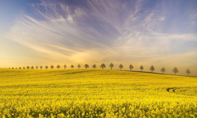 Απρίλιος 2026: Ποιοι πλανήτες επηρεάζουν τη ζωή σου;