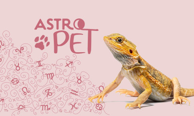 AstroPet από 07/04 έως 13/04: Εβδομαδιαίες προβλέψεις για το κατοικίδιό σου