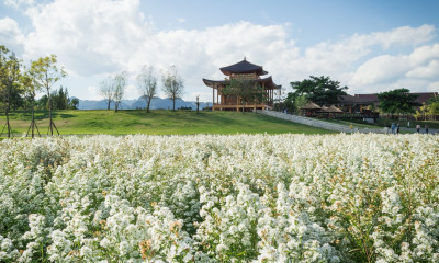 Κινέζικο Ωροσκόπιο 2026: Προβλέψεις των ζωδίων από 17/04 έως 16/05