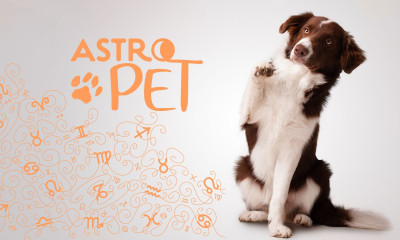 AstroPet από 19/05 έως 25/05: Εβδομαδιαίες προβλέψεις για το κατοικίδιό σου