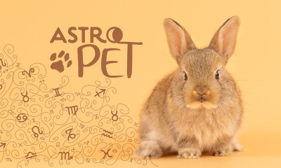 AstroPet από 26/05 έως 01/06: Εβδομαδιαίες προβλέψεις για το κατοικίδιό σου