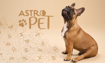 AstroPet από 02/06 έως 08/06: Εβδομαδιαίες προβλέψεις για το κατοικίδιό σου