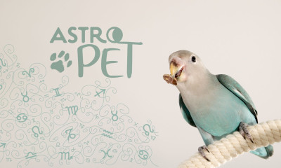 AstroPet από 21/07 έως 27/07: Εβδομαδιαίες προβλέψεις για το κατοικίδιό σου