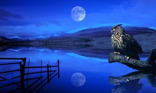 Η καθημερινή επιρροή της Σελήνης 15/5 έως 17/5