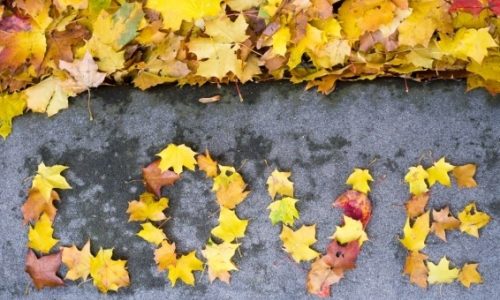 Ερωτική εβδομάδα για όλα τα ζώδια