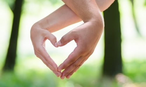 Ερωτική εβδομάδα για όλα τα ζώδια