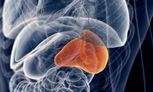 Διόγκωση σπλήνα: Ποια είναι τα ανησυχητικά σημάδι