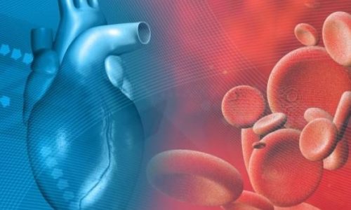 Τεστ: Υπολογίστε την πραγματική ηλικία της καρδιάς σας