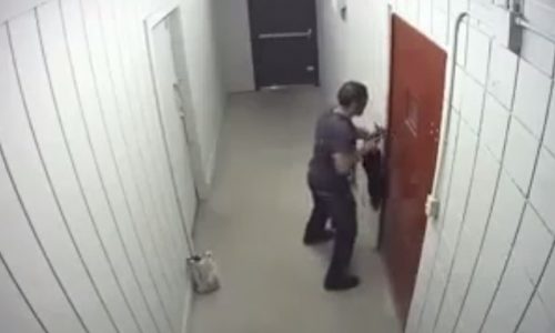 Μια του κλέφτη, δυο του κλέφτη… Δείτε την πανέξυπνη παγίδα που του έστησε ο ιδιοκτήτης! (video)