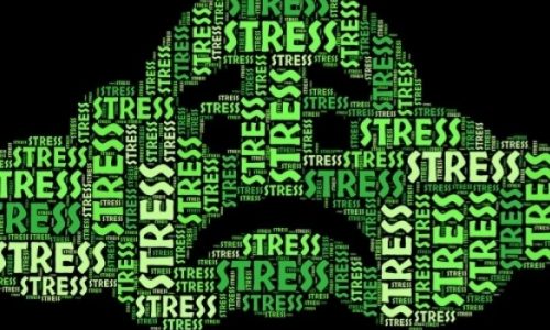 Τι είναι τα ψυχοβιοτικά που βοηθούν στο άγχος και συμβάλλουν στη μνήμη