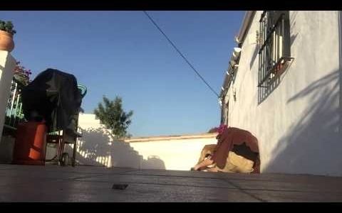 Δε φαντάζεστε την αντίδραση της σκυλίτσας στην έκπληξη που της έκανε ο ιδιοκτήτης της! (video)