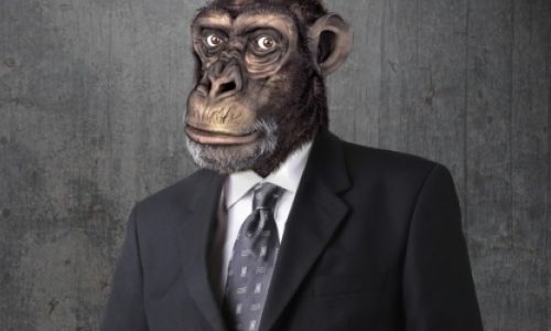 Τι κάνει τον εγκέφαλο των ανθρώπων να διαφέρει από αυτόν των χιμπατζήδων