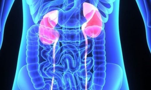 Δέκα σημάδια ότι κάτι δεν πάει καλά με τα νεφρά σας