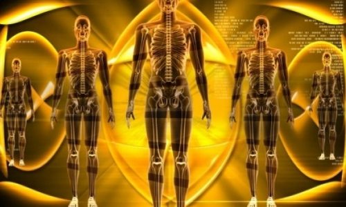 Εφαρμογή: Δείτε αν κινδυνεύετε από καρκίνο και από ποιες μορφές