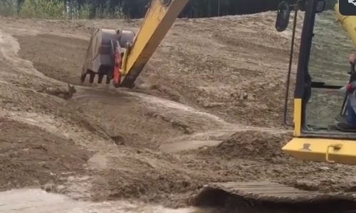 Δείτε την εντυπωσιακή διάσωση του μικρού ελαφιού με έναν εκσκαφέα! (video)