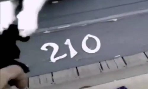 Γάτα εναντίον ταχυδρόμου: ένα - μηδέν! Δείτε το ξεκαρδιστικό βίντεο!