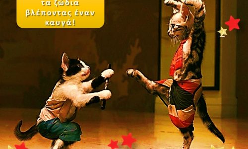 Τι κάνουν τα 12 ζώδια, όταν ξεσπάει ένας καυγάς!!!