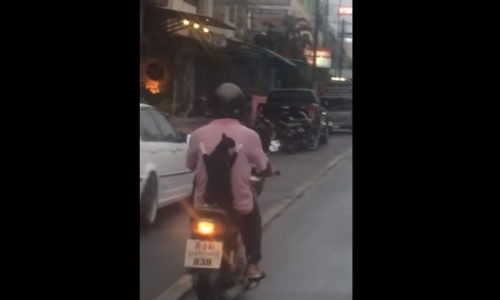 Απίστευτο! Πήρε δικάβαλο τη γάτα του στο μηχανάκι! (video)