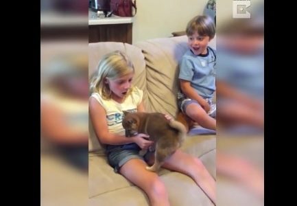 Το καλύτερο δώρο γενεθλίων! (video)