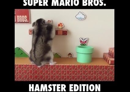 Ο Super Mario σε έκδοση χάμστερ! (video)