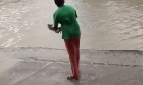 Αυτή η γυναίκα έδιωξε έναν κροκόδειλο απλά με τη σαγιονάρα της! (video)