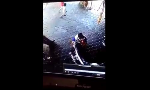 Σοκαριστικό! Tα αντανακλαστικά του μπαμπά σώζουν τη ζωή των παιδιών του! (video)