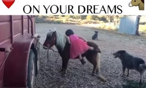 Η μικρούλα δεν μπορεί να ανέβει στο πόνυ αλλά δεν το βάζει κάτω! (video)