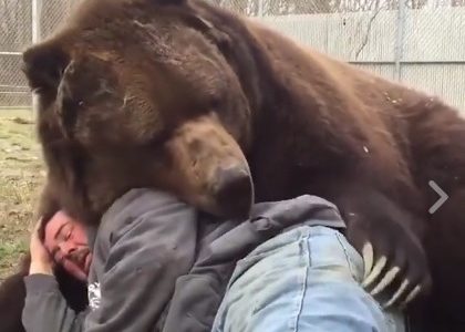 Η αρκούδα το μόνο που θέλει είναι χάδια! (video)