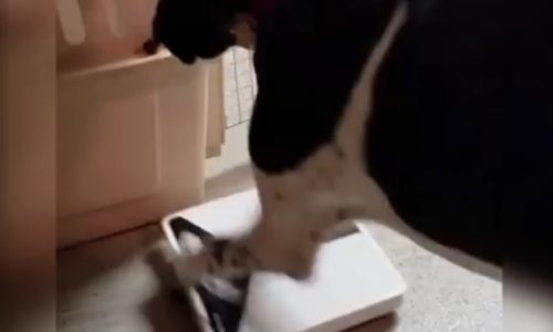 Όταν το καλοκαίρι πλησιάζει και δε σου αρέσει αυτό που βλέπεις στη ζυγαριά!