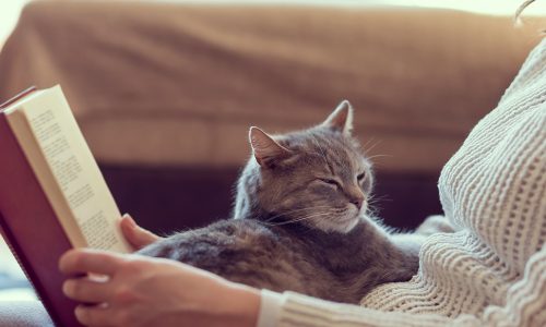 Ημερήσιες Προβλέψεις για όλα τα Ζώδια 28/3