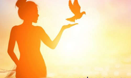 Ημερήσιες Προβλέψεις για όλα τα Ζώδια 8/4