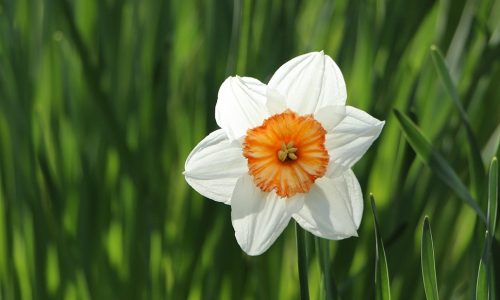 Ημερήσιες Προβλέψεις για όλα τα Ζώδια 26/4