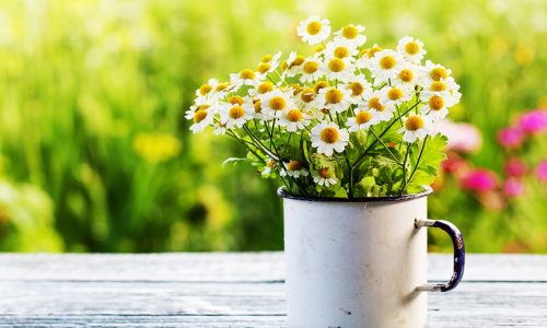 Ημερήσιες Προβλέψεις για όλα τα Ζώδια 29/5