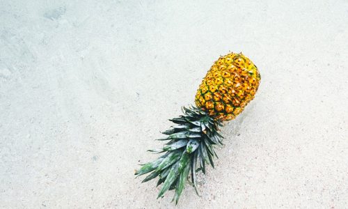 Ημερήσιες Προβλέψεις για όλα τα Ζώδια 8/8