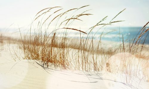 Ημερήσιες Προβλέψεις για όλα τα Ζώδια 24/8