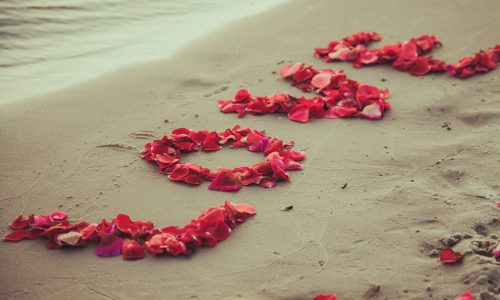 Ερωτικές Προβλέψεις για όλα τα Ζώδια, 17/9