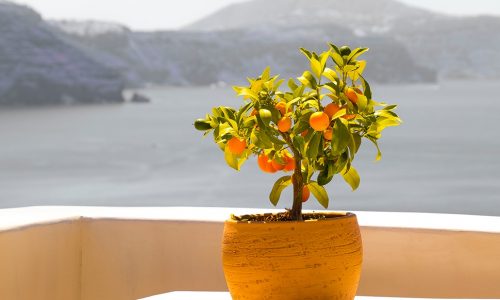 Ημερήσιες Προβλέψεις για όλα τα Ζώδια 18/9