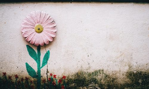 Ημερήσιες Προβλέψεις για όλα τα Ζώδια 2/10