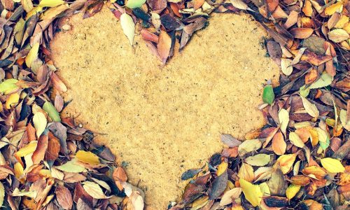 Ερωτικές Προβλέψεις για όλα τα Ζώδια, 12/10