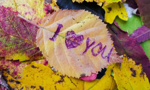 Ερωτικές Προβλέψεις για όλα τα Ζώδια, 09/11