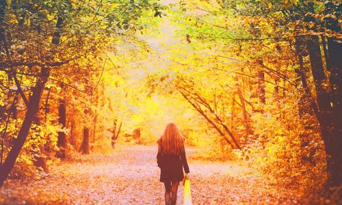 Ημερήσιες Προβλέψεις για όλα τα Ζώδια 30/11