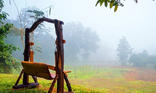 Ημερήσιες Προβλέψεις για όλα τα Ζώδια 03/12
