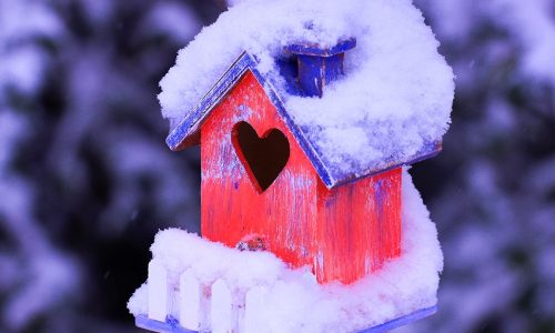 Ερωτικές Προβλέψεις για όλα τα Ζώδια, 11/01