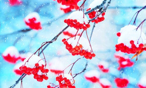 Ημερήσιες Προβλέψεις για όλα τα Ζώδια 30/01