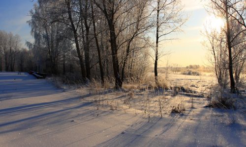 Ημερήσιες Προβλέψεις για όλα τα Ζώδια 03/02