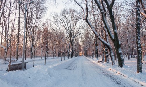 Ημερήσιες Προβλέψεις για όλα τα Ζώδια 07/02